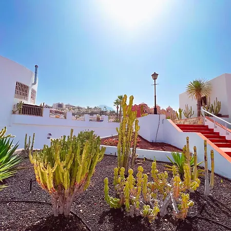 One Bedroom Apartment On First Line Of El Duque Beach, Pd01 *