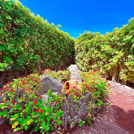 One Bedroom Apartment On First Line Of El Duque Beach, Pd01